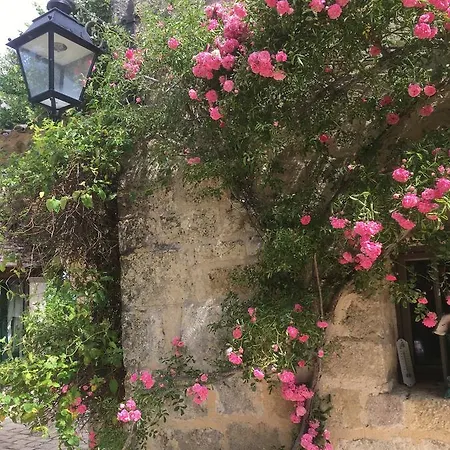 Chambres D'hotes Coteau De Belpech Bed & Breakfast